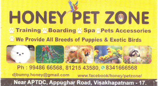 Honey Pet Zone Pets Sales Accessories Puppies Appughar in Visakhapatnam Vizag,Appughar In Visakhapatnam, Vizag