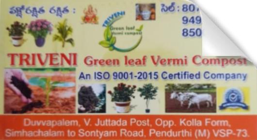 triveni green leaf vermi compost pendurthi visakhapatnam vizag,Pendurthi In Visakhapatnam, Vizag